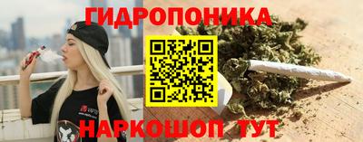 Альфа ПВП Ставрополь