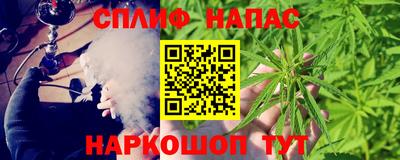 Альфа ПВП Ставрополь